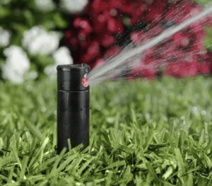 Best Sprinkler for Small Lawn: Top Picks & Tips for Lush Green Grass